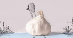 dessin-poule-panda-aliments-creation-artiste