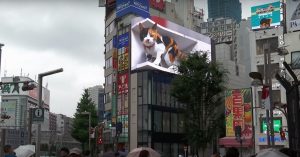 ecran-chat-geant-tokyo