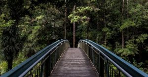 pont-nature-communication-responsable-interview-la-collab