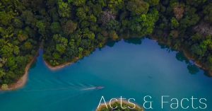 nature-texte-acts-and-facts