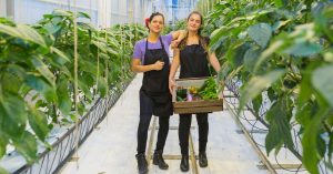 femmes-plante-cagette
