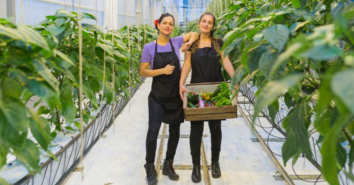 femmes-plante-cagette